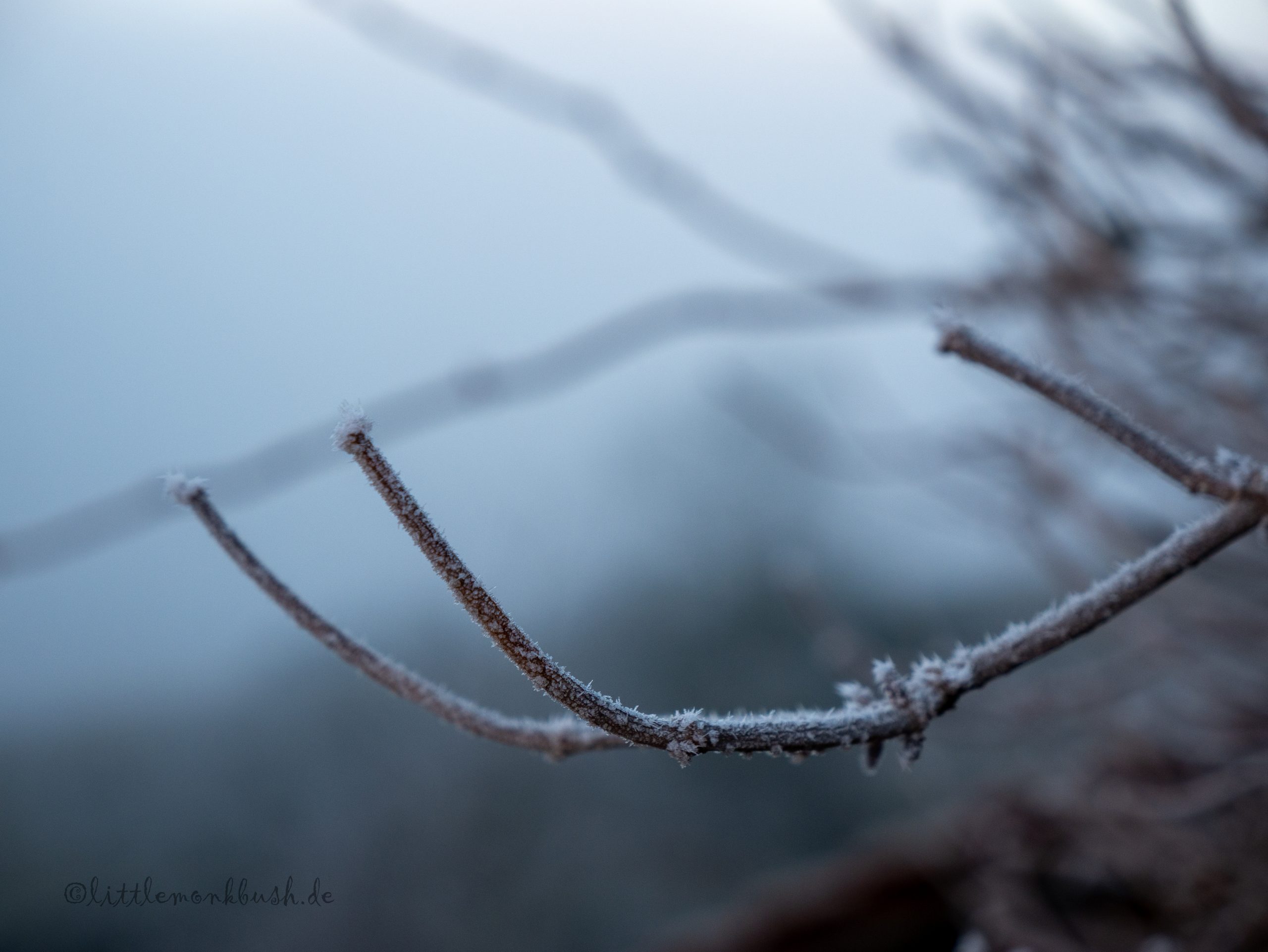 frostige Tage im Januar